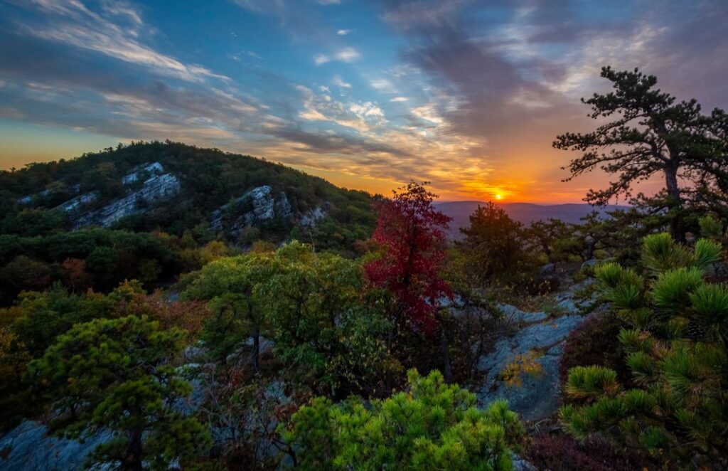 Steve Aaron Photo - Ellenville Alive