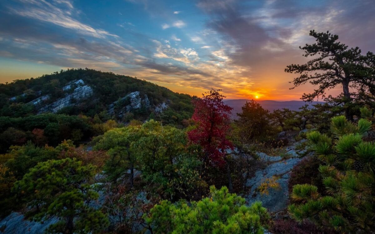 Steve Aaron Photo​ - Ellenville Alive