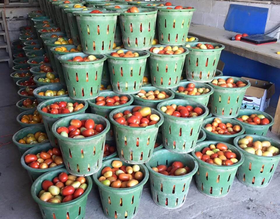 Barthel’s Farm Market - Ellenville Alive