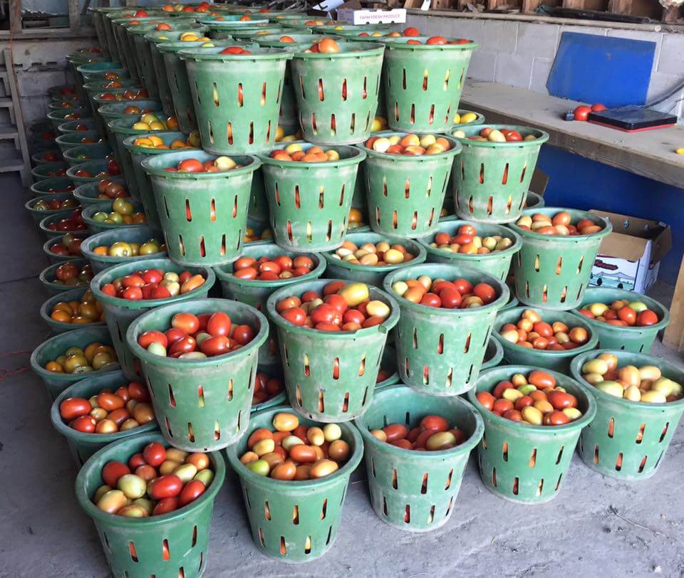 Barthel’s Farm Market - Ellenville Alive