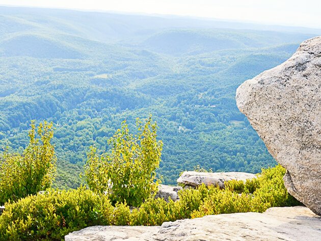Bear Hill Preserve - Ellenville Alive