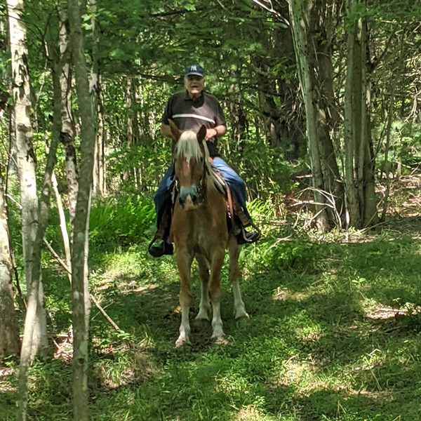 Braden Brook Stables - Ellenville Alive