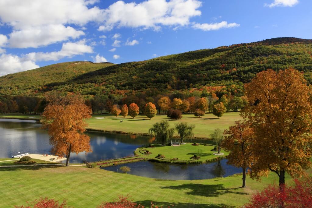 Honor's Haven - Ellenville Alive
