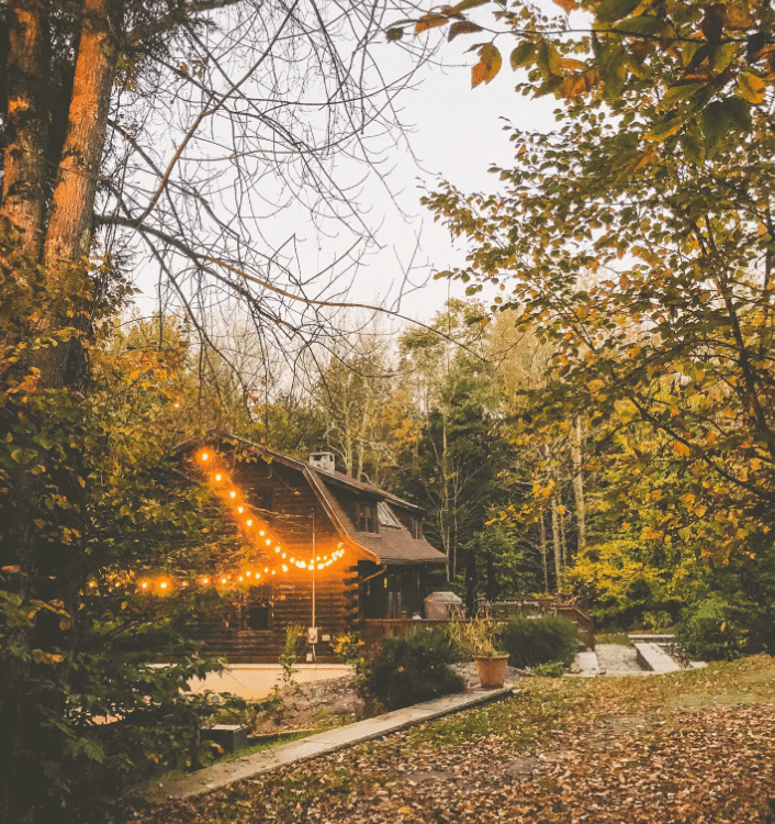 Cozy Luxe Secluded Cabin - Ellenville Alive