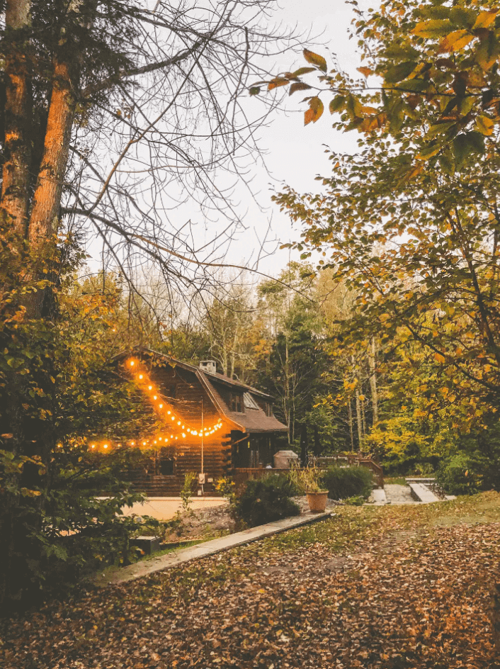 Cozy Luxe Secluded Cabin - Ellenville Alive