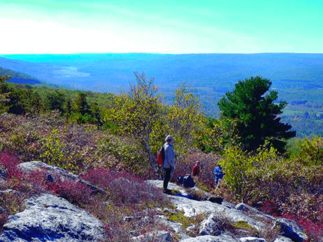 Long Path - Ellenville Alive