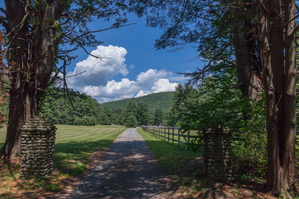 Lundy Forest - Ellenville Alive