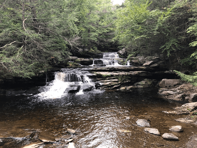 Vernooy Kill State Forest - Ellenville Alive