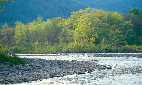 Esopus Creek - Ellenville Alive